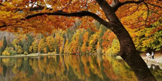 Nr 13 Herbstliche Bäume spiegeln sich am Feldsee